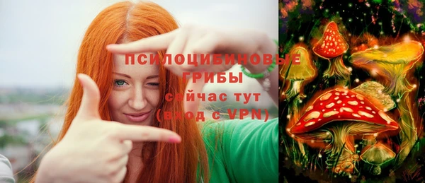 соль ск Арсеньев