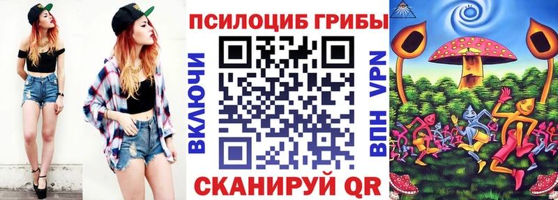 купить   Солнечногорск  Псилоцибиновые грибы GOLDEN TEACHER 